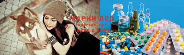 ALPHA PVP Баксан