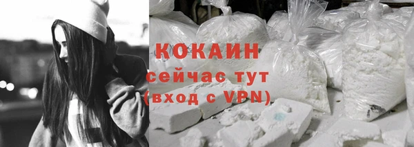 прущие грибы Армянск