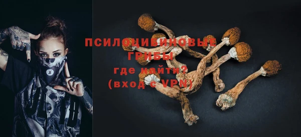 ALPHA PVP Баксан